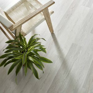 Luxury vinyl flooring with a plant | Allied Flooring & Paint