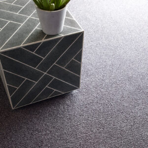 Carpeting with a potted plant | Allied Flooring & Paint