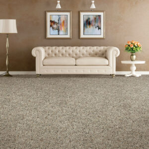 Couch and carpeting | Allied Flooring & Paint