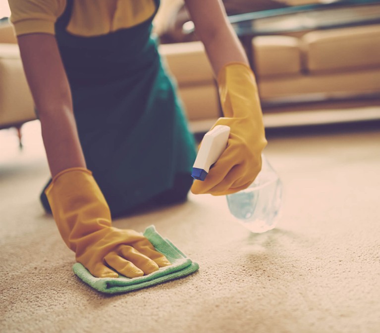 Cleaning a stain on carpeting | Allied Flooring & Paint