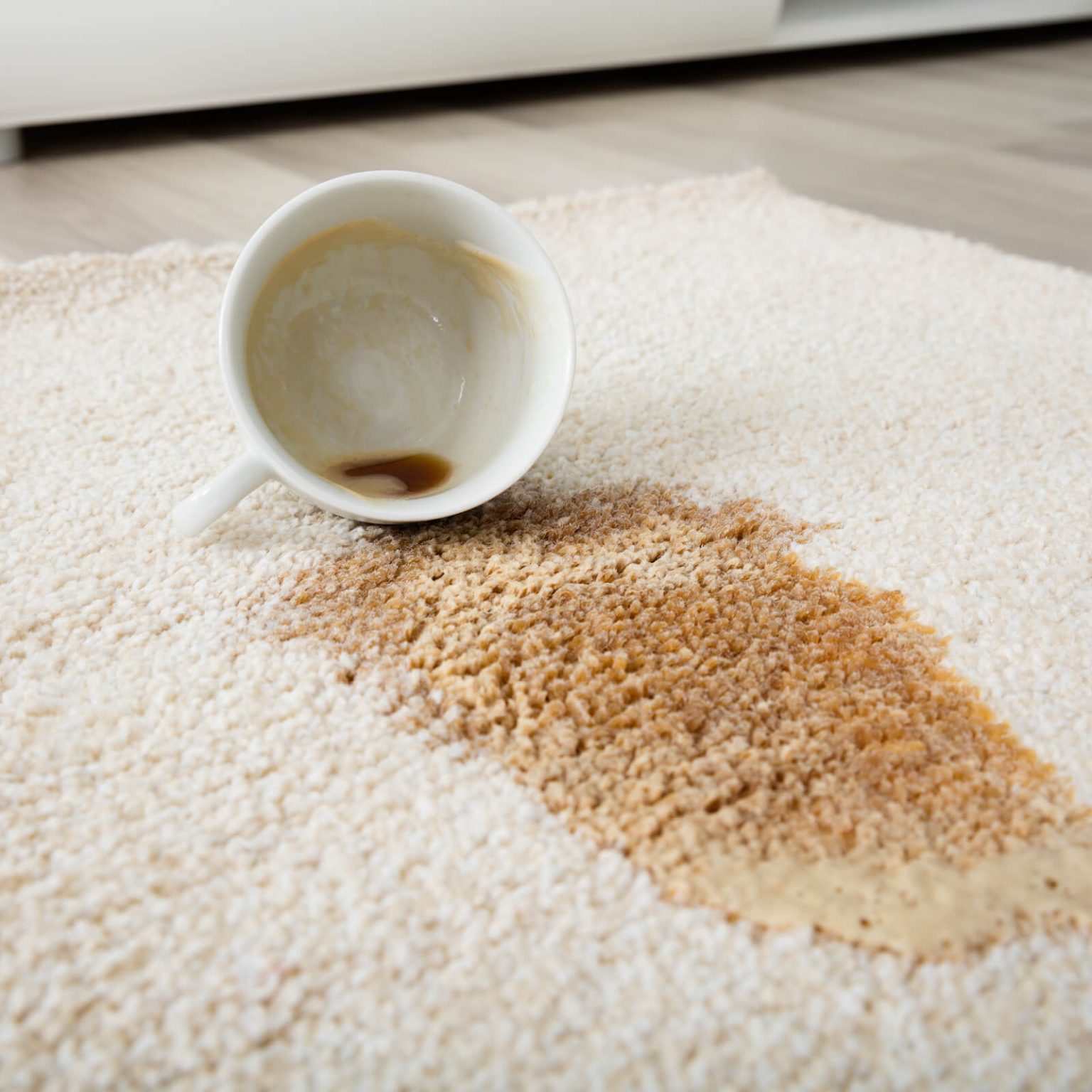 Coffee spill on carpet | Allied Flooring & Paint