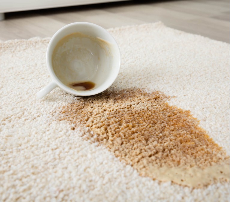 Coffee spilled on carpeting | Allied Flooring & Paint