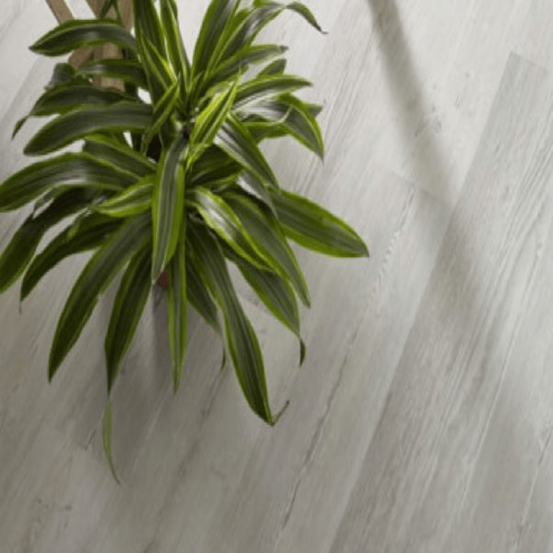 Plant and hardwood flooring | Allied Flooring & Paint