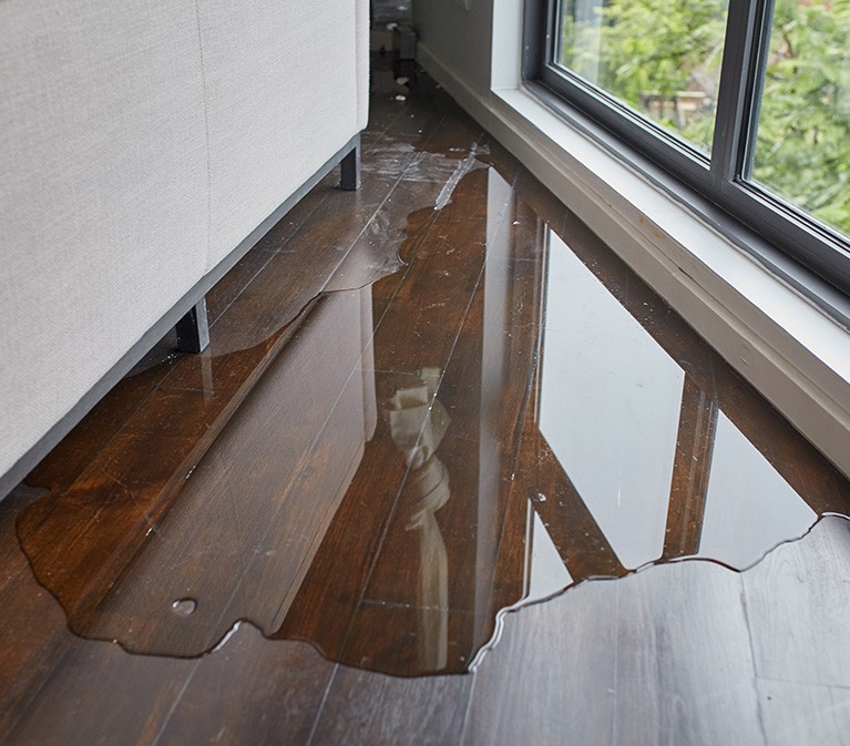 Water Damage Repair | Allied Flooring and Paint