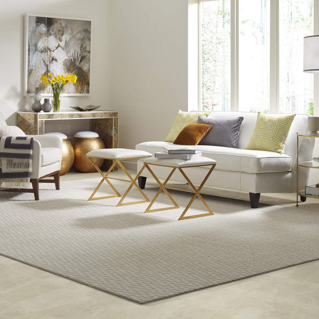 Area Rug | Allied Flooring & Paint