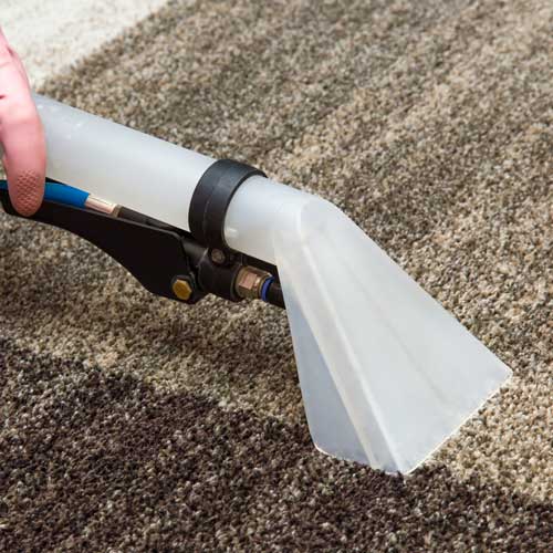 Carpet cleaning | Allied Flooring & Paint