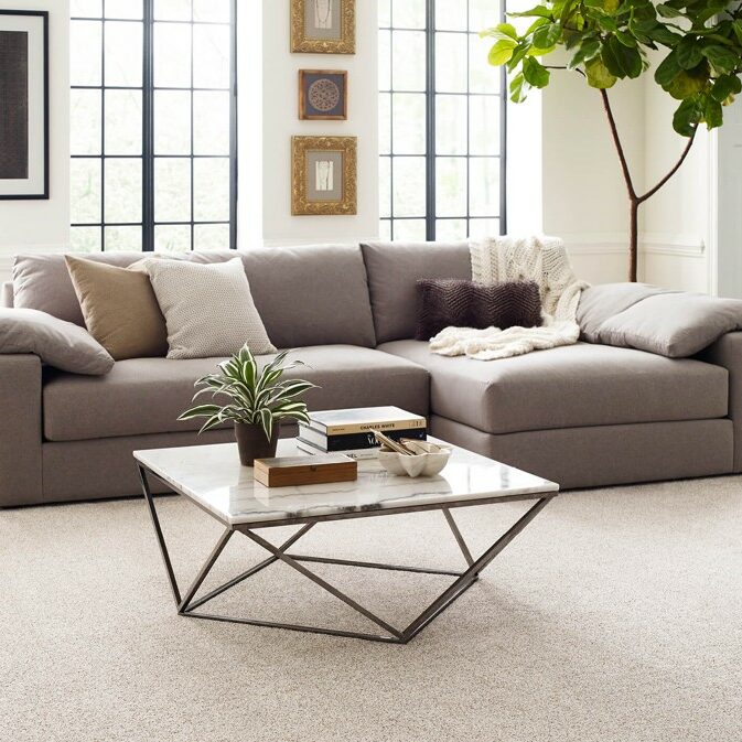 Carpeting in living room | Allied Flooring & Paint